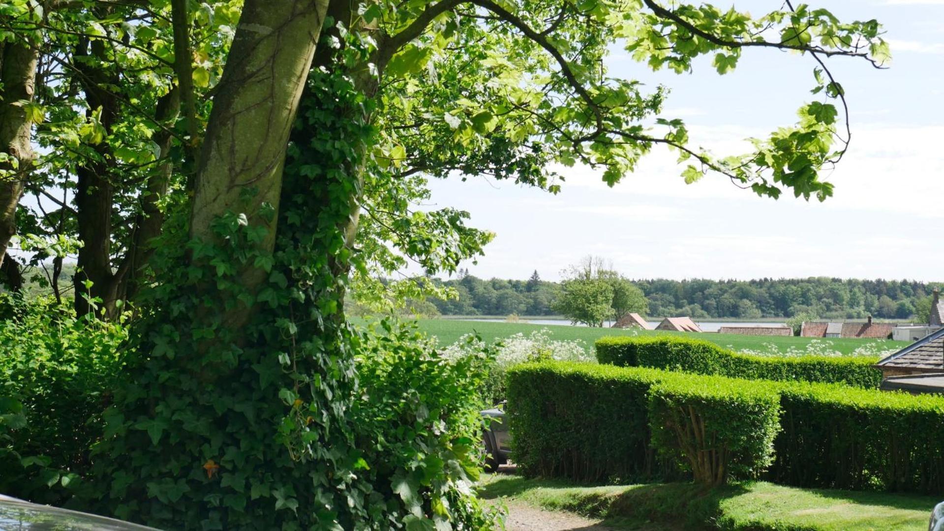 Kilconquhar Castle Estate Bed and Breakfast Værelse billede