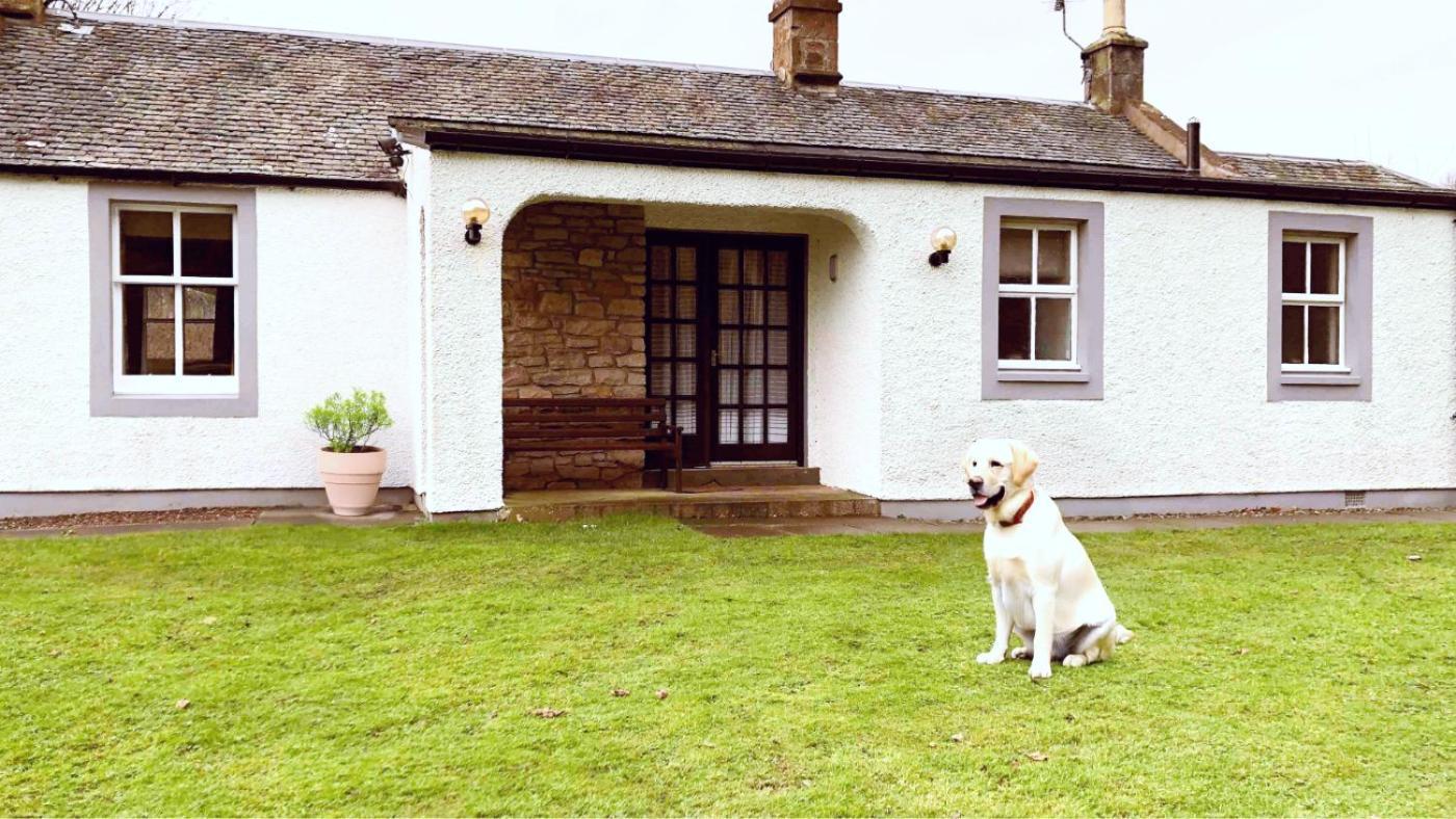 Kilconquhar Castle Estate Bed and Breakfast Eksteriør billede